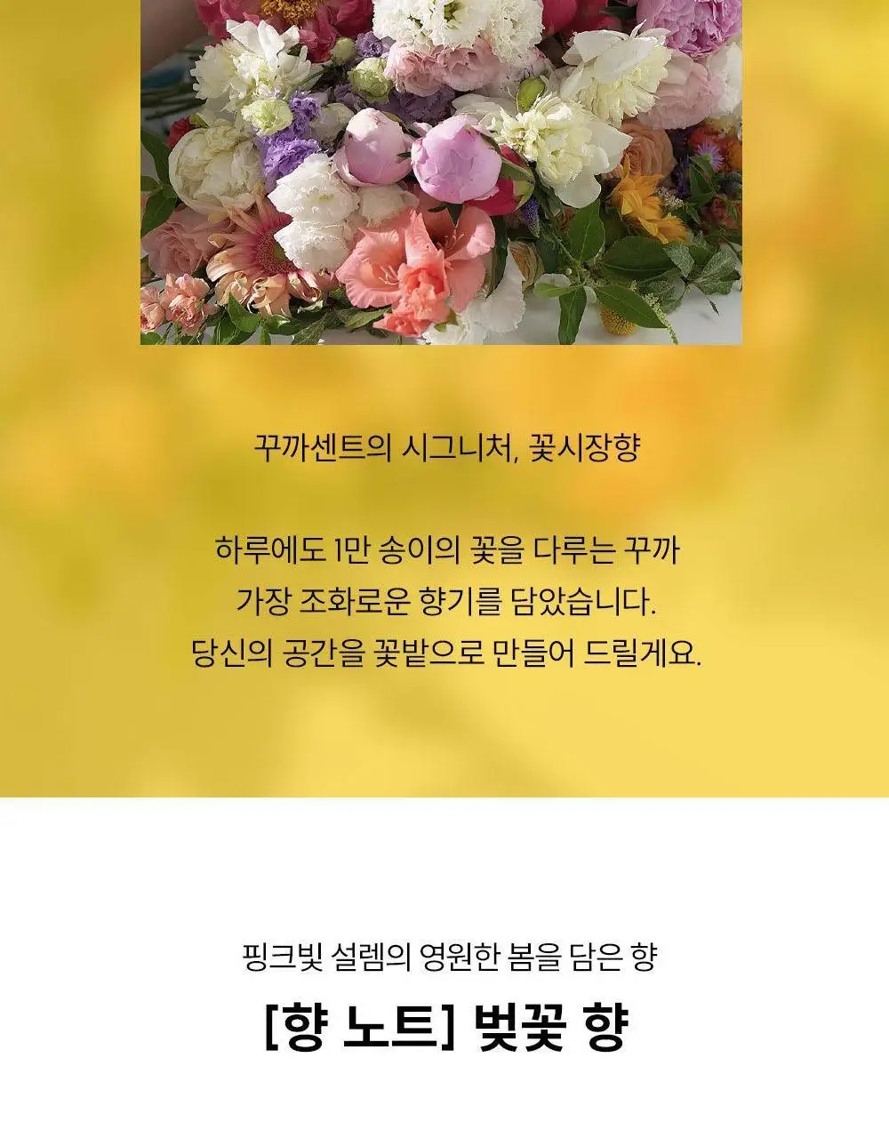 [NEW/캔들 활용 가능] 꾸까 샤쉐 4종 세트 (온) 상세페이지 13